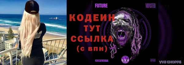 дмт Каменногорск