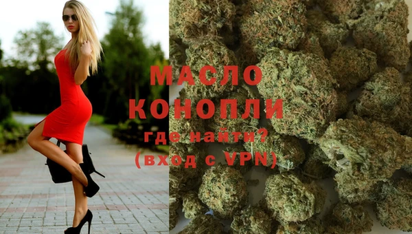 дмт Каменногорск